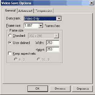 WEB Анимация