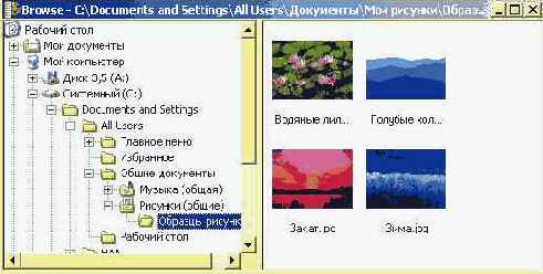 WEB Анимация