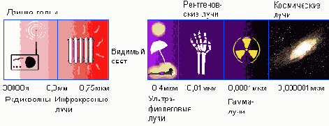 Цвет