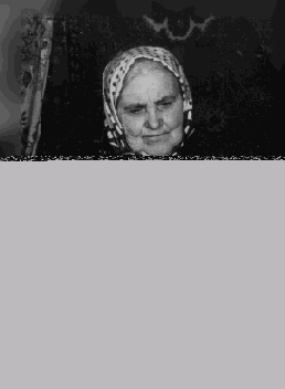  Photoshop