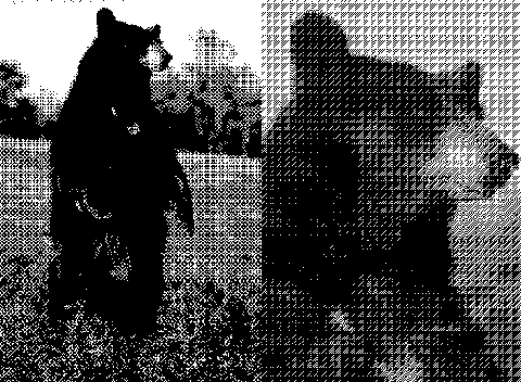 Цвет