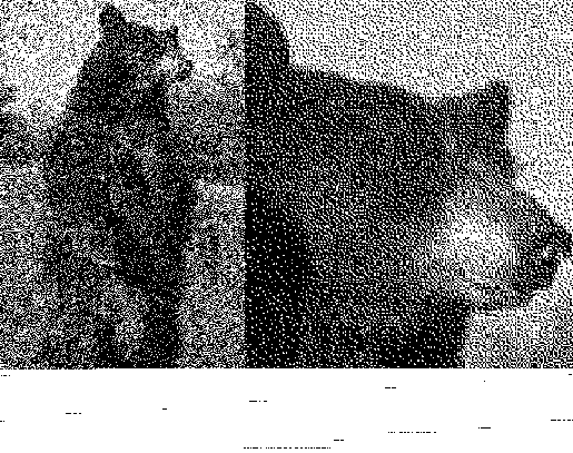 Цвет