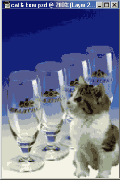  Photoshop
