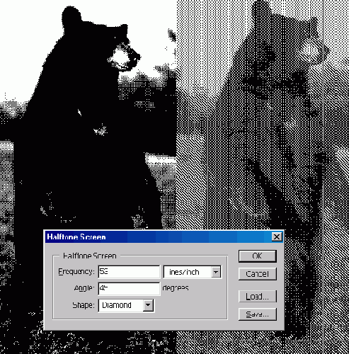 WEB 
