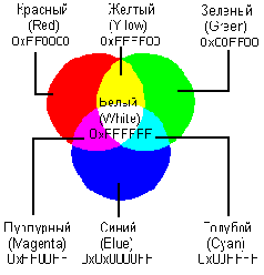 WEB 
