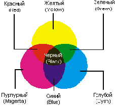 WEB 
