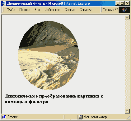 WEB 
