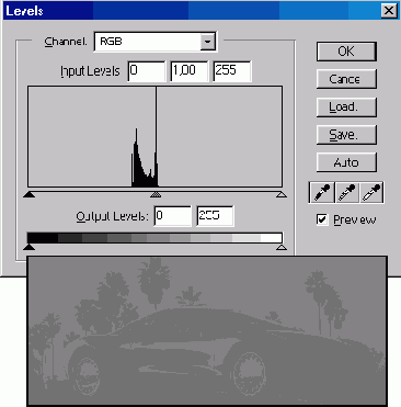 WEB 
