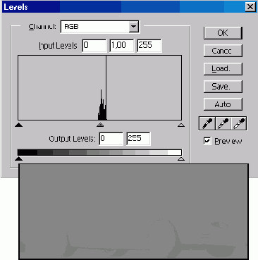 WEB 
