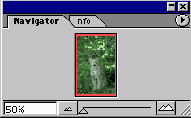 WEB 
