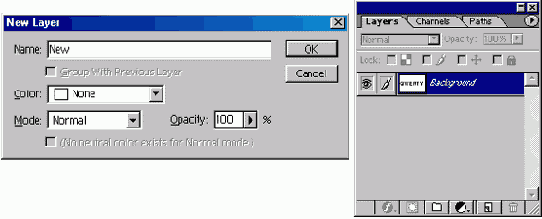 WEB 

