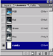 WEB 
