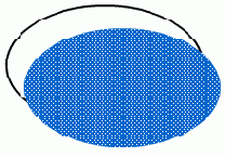 WEB 
