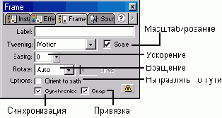 WEB 
