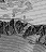 Web-
