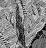Web-
