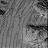 Web-
