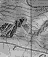 Web-
