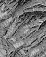 Web-
