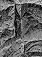 Web-
