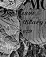 Web-
