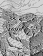 Web-
