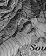 Web-
