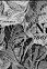 Web-
