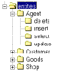   Web-   Microsoft Active Server Pages