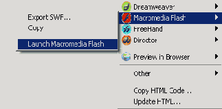 Создание Webстраниц с помощью Flash