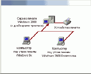     Windows XP