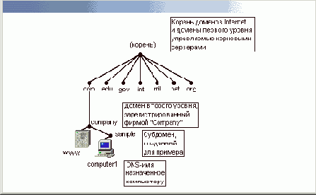     Windows XP