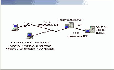 
GSNW