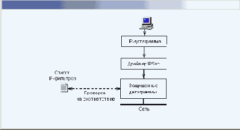 
 IP