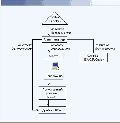 
 IP