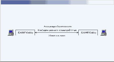 
 IP
